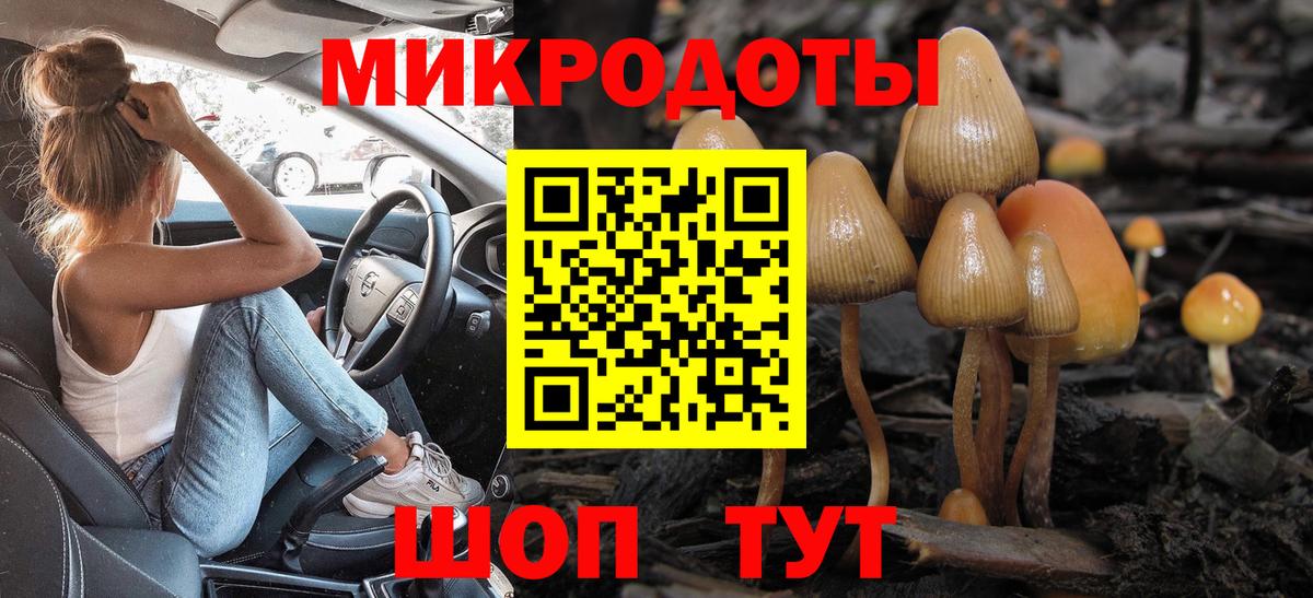 Нововоронеж  Псилоцибиновые грибы GOLDEN TEACHER  Вход с VPN 